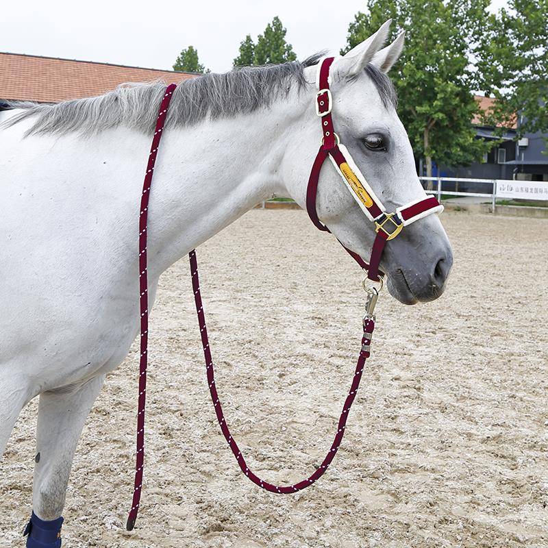 Wine Red Cage + Horse Ride